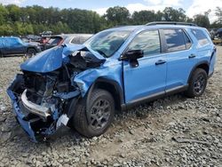 Honda salvage cars for sale: 2025 Honda Pilot Trailsport