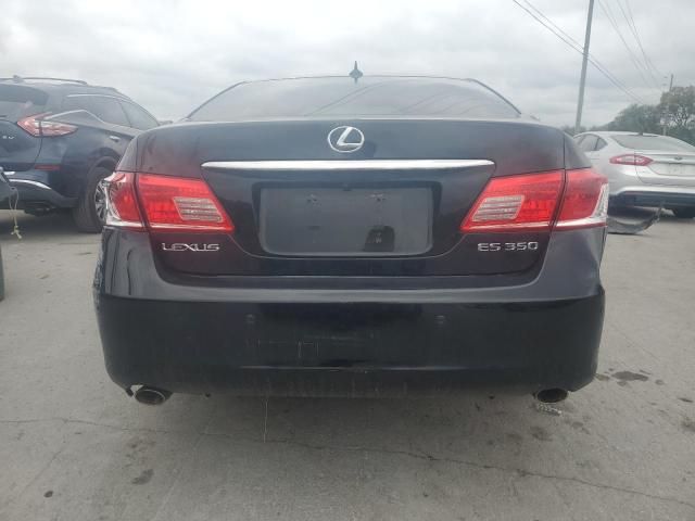 2010 Lexus ES 350