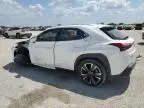 2021 Lexus UX 250H