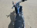 2004 Harley-Davidson Fxdli