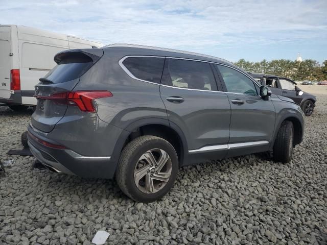 2023 Hyundai Santa FE SEL Premium