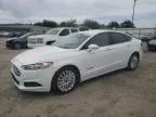 2016 Ford Fusion SE Hybrid