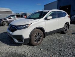 Salvage cars for sale at Elmsdale, NS auction: 2021 Honda CR-V EXL