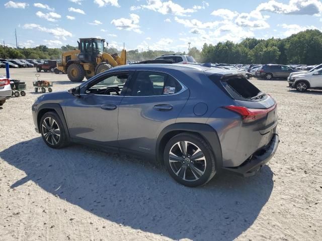 2019 Lexus UX 250H