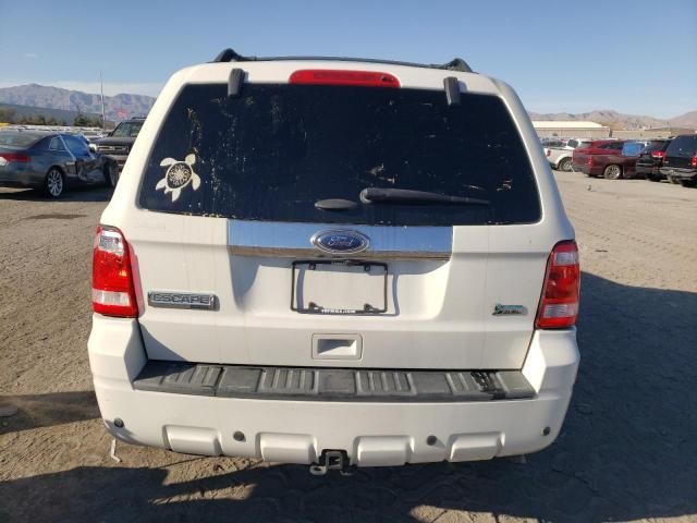 2011 Ford Escape Limited