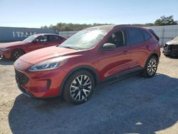 Salvage cars for sale at Anderson, CA auction: 2020 Ford Escape SE Sport