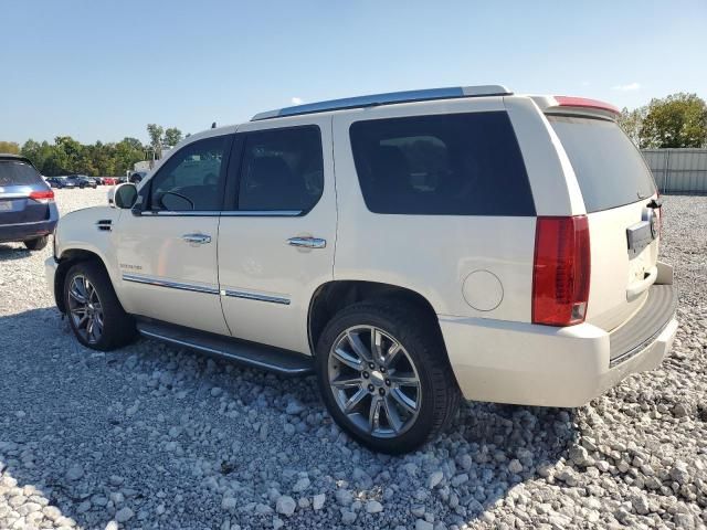 2014 Cadillac Escalade Luxury