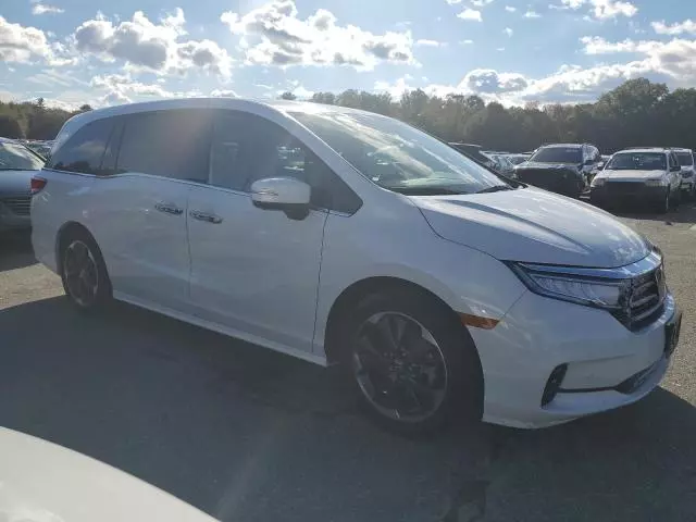 2023 Honda Odyssey Elite