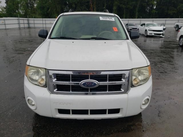 2008 Ford Escape XLT