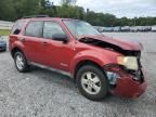 2008 Ford Escape XLT