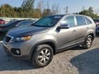 2012 KIA Sorento Base