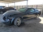 2005 Ford Mustang