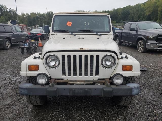 1998 Jeep Wrangler / TJ Sahara