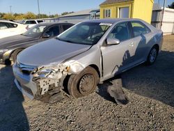 Toyota salvage cars for sale: 2013 Toyota Camry L