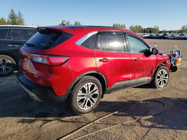 2021 Ford Escape SEL