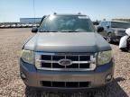 2009 Ford Escape XLT