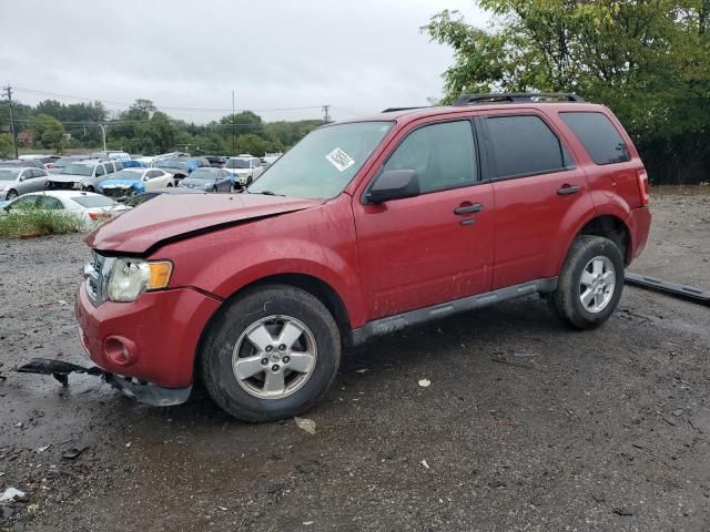 2011 Ford Escape XLT