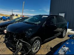 Ford Edge salvage cars for sale: 2007 Ford Edge SEL Plus