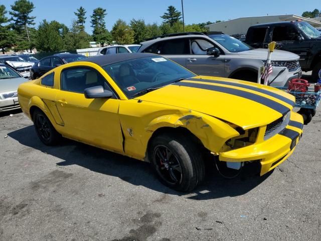 2005 Ford Mustang