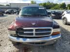 2004 Dodge Dakota SLT