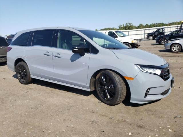 2024 Honda Odyssey Sport