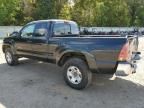 2005 Toyota Tacoma Prerunner Access Cab