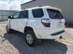 2024 Toyota 4runner SR5/SR5 Premium