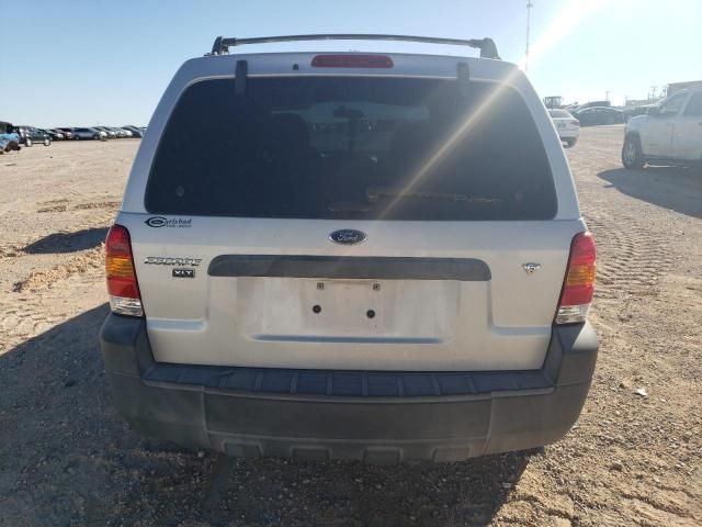 2006 Ford Escape XLT