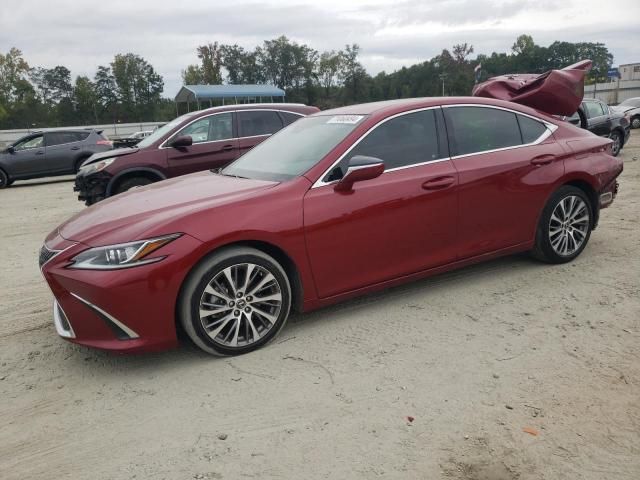 2019 Lexus ES 350