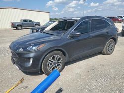 Salvage cars for sale at Temple, TX auction: 2020 Ford Escape SEL