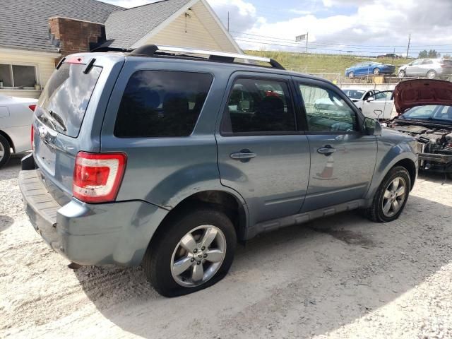 2011 Ford Escape Limited