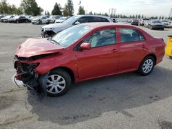 Toyota salvage cars for sale: 2010 Toyota Corolla Base