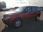 2012 Ford Escape XLS