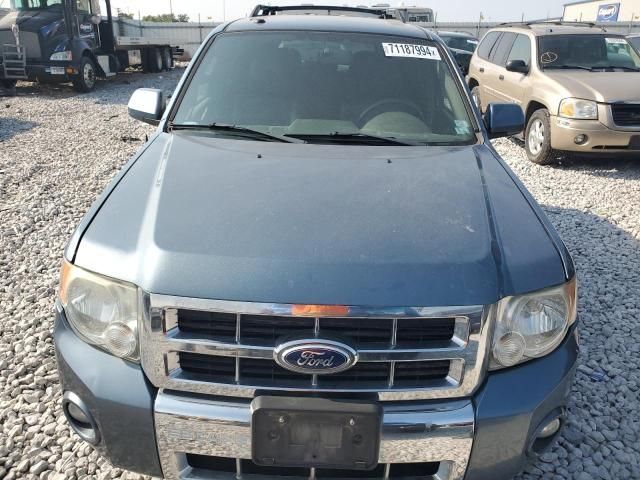 2011 Ford Escape Limited