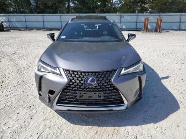 2019 Lexus UX 250H