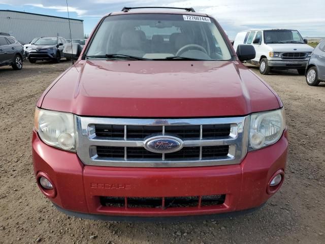 2008 Ford Escape XLT