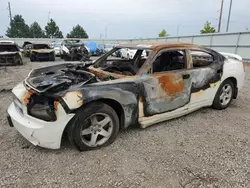 Salvage cars for sale at Bismarck, ND auction: 2010 Dodge Charger SXT