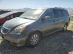 2010 Honda Odyssey EXL