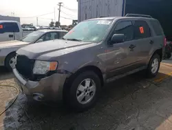 Salvage cars for sale at Chicago Heights, IL auction: 2012 Ford Escape XLT