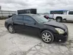 2004 Nissan Maxima SE