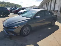 Salvage cars for sale at Louisville, KY auction: 2024 Hyundai Elantra SEL