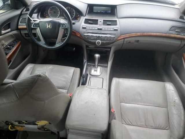 2011 Honda Accord EXL