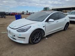 Salvage cars for sale at Brighton, CO auction: 2023 Tesla Model 3