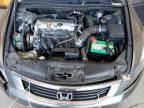 2009 Honda Accord LXP