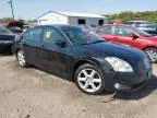 2006 Nissan Maxima SE