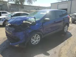 Salvage cars for sale at Albuquerque, NM auction: 2014 Ford Escape S