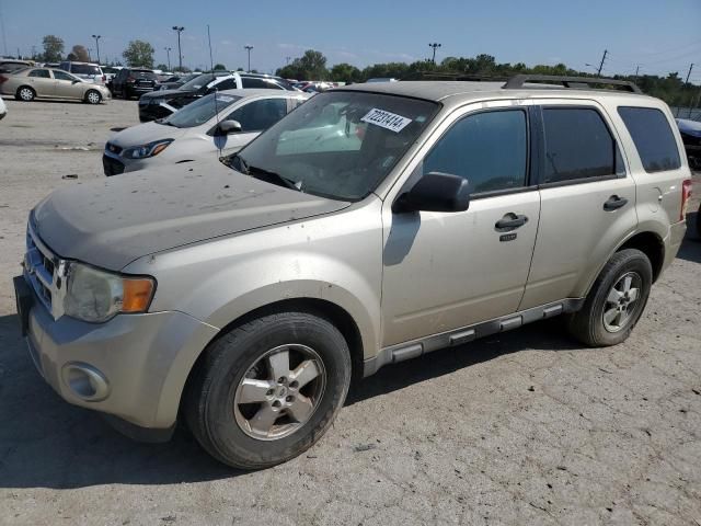 2010 Ford Escape XLT