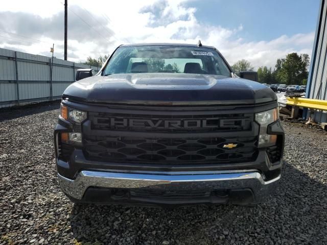 2024 Chevrolet Silverado C1500