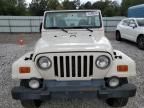 2001 Jeep Wrangler / TJ Sahara