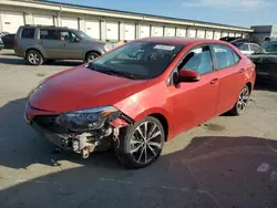 Salvage cars for sale at Louisville, KY auction: 2019 Toyota Corolla L